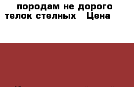 породам не дорого телок стелных › Цена ­ 45 000 - Краснодарский край Животные и растения » Другие животные   . Краснодарский край